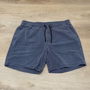 Bearbottom 7” Volley Shorts Men’s Large, Blue